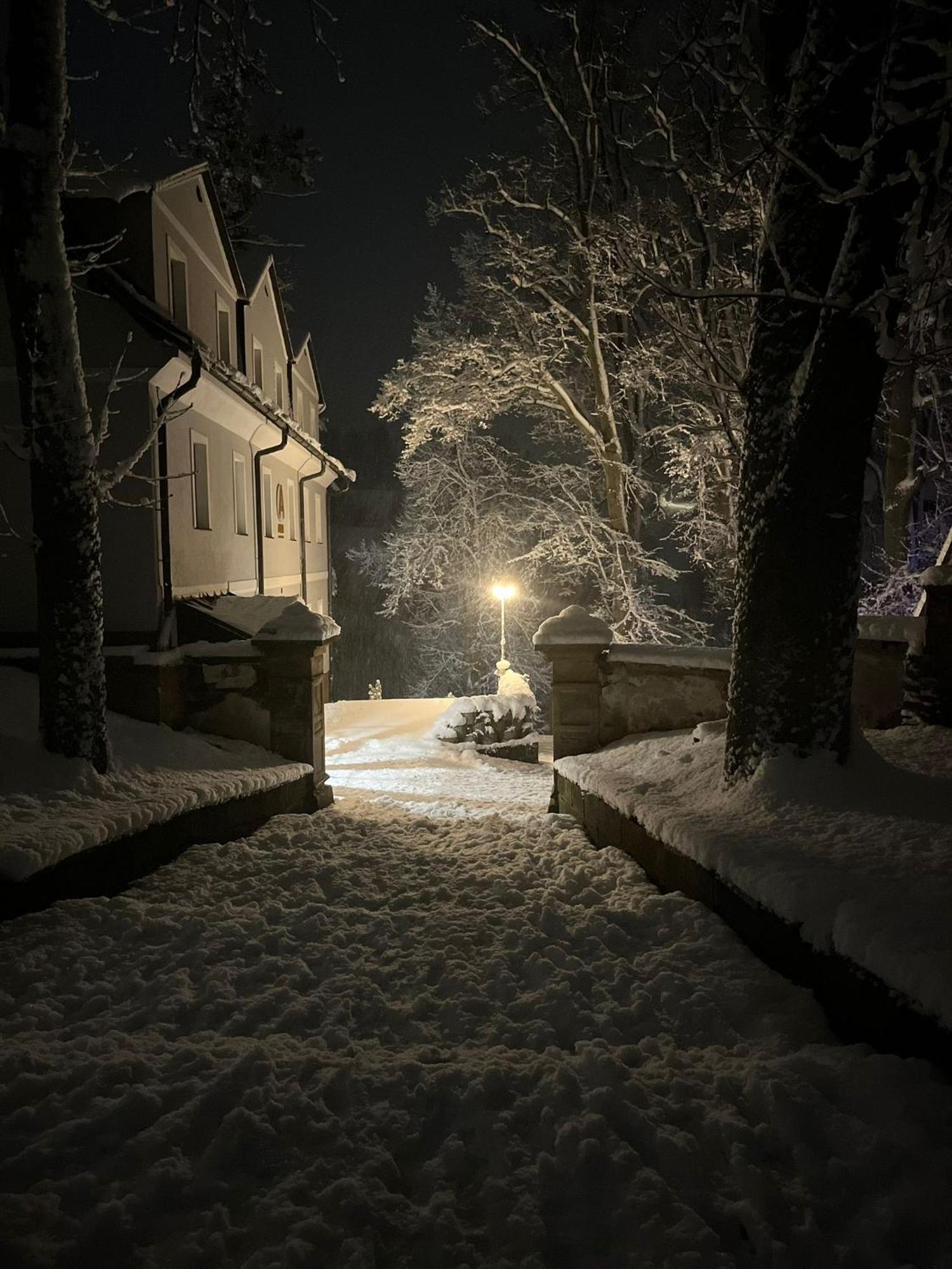 Hotel Auri Rudnik Bagian luar foto