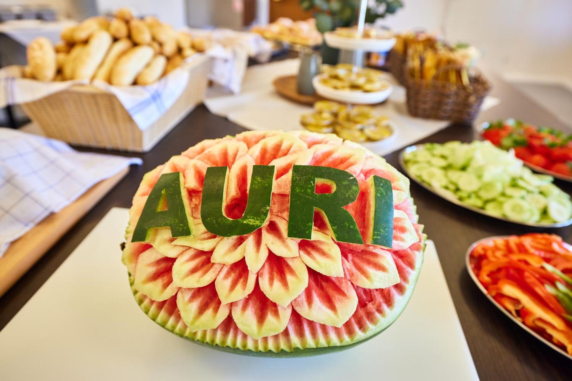 Hotel Auri Rudnik Bagian luar foto